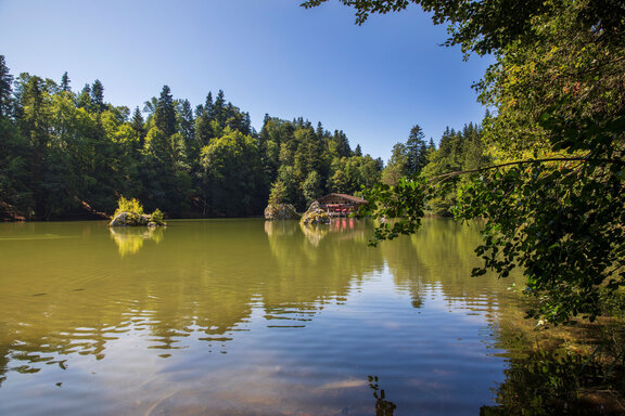 Berglsteinersee ©Alpbachtal Tourismus, Matthias Sedlak