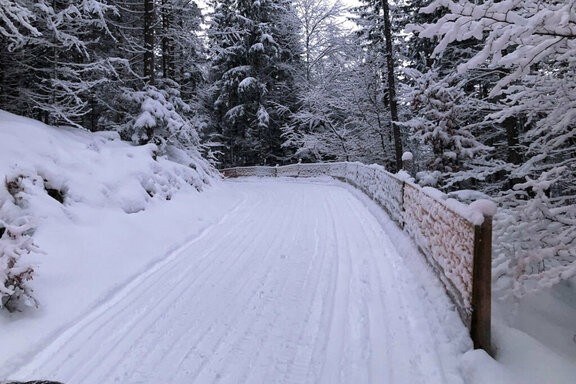 Beleuchtete Rodelbahn in Brandenberg